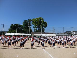 運動会予行