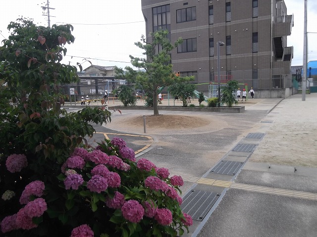 梅雨の合間の昼休み