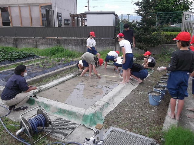 プール開き（１・２・６年）と５年田植え