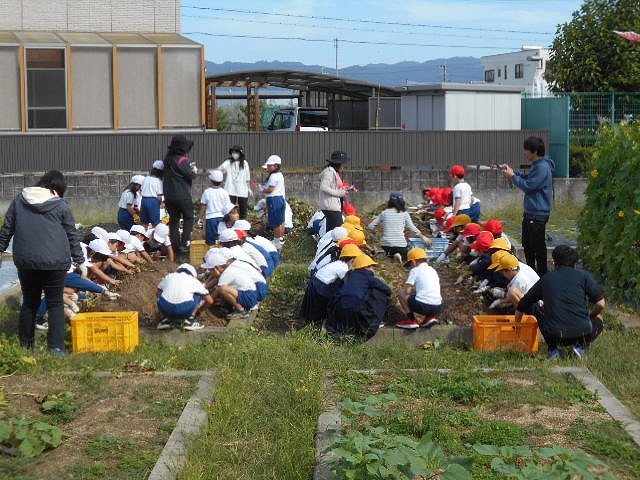 １・２年サツマイモ掘り、３年地域安全マップ作り、４・５年県学力到達度調査