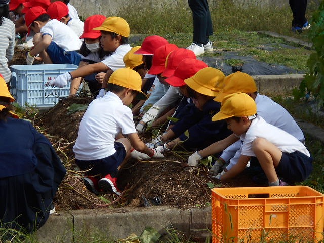 １・２年サツマイモ掘り、３年地域安全マップ作り、４・５年県学力到達度調査