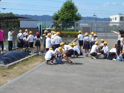 ５年生　田植え準備開始