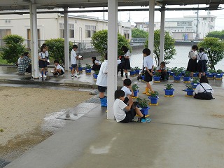 今日の授業風景（１年~６年）