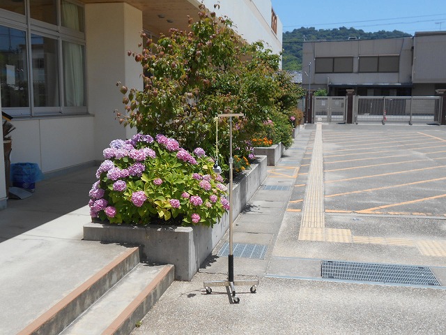 熱中症指数（暑さ指数）が危険域に