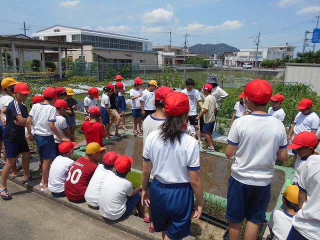 ５年田植え