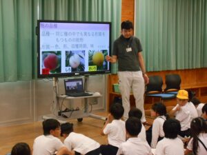 ３年　桃のお話