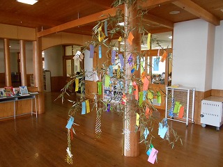 ４年梅ジュース作りと全学年で笹の葉に願いごと