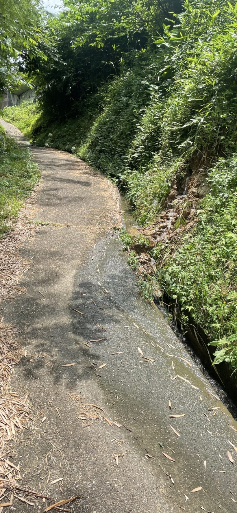 通学路の危険箇所について