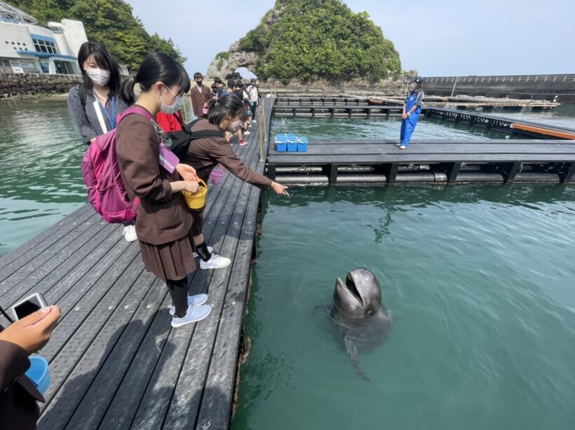 修学旅行⑤