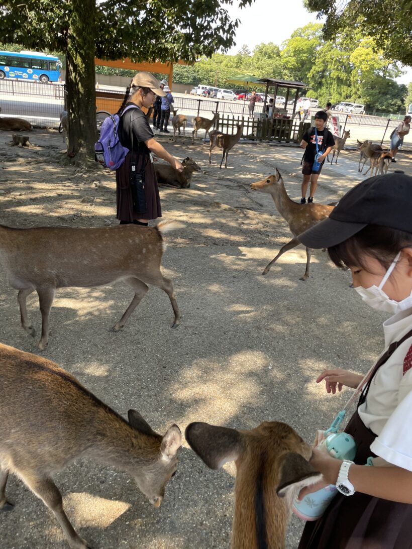 社会見学（高学年）