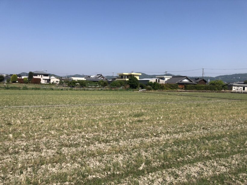今日の東貴志小学校