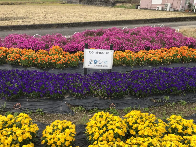 今日の東貴志小学校