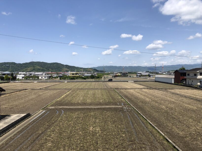 今日の東貴志小学校