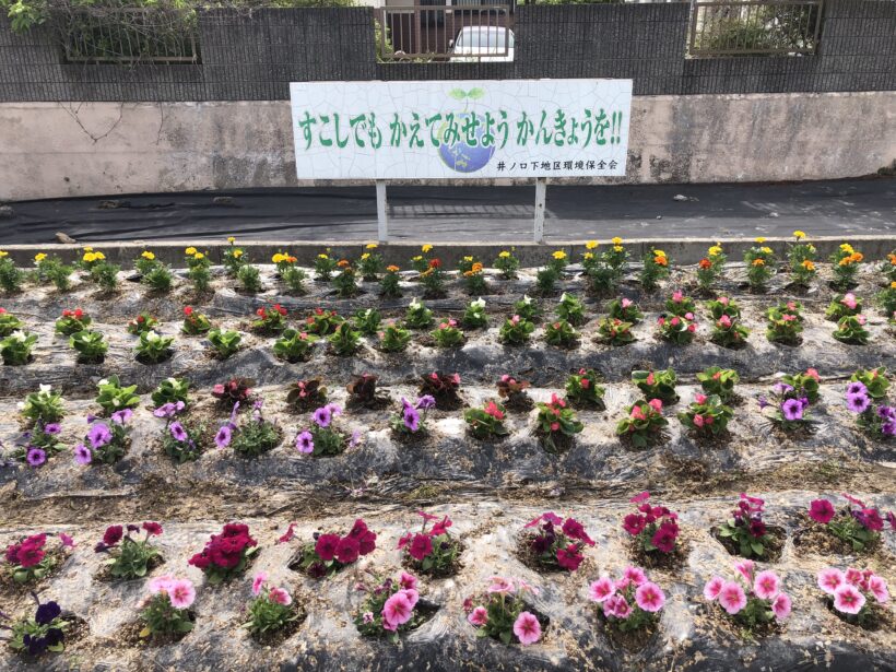 今日の東貴志小学校