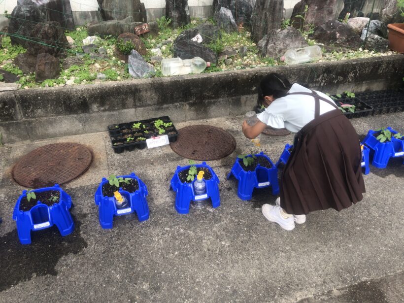 今日の東貴志小学校