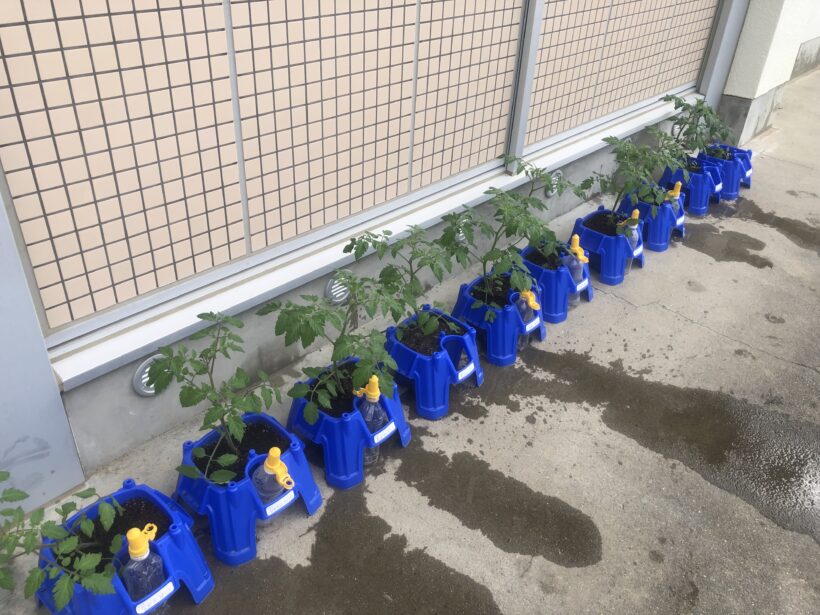今日の東貴志小学校