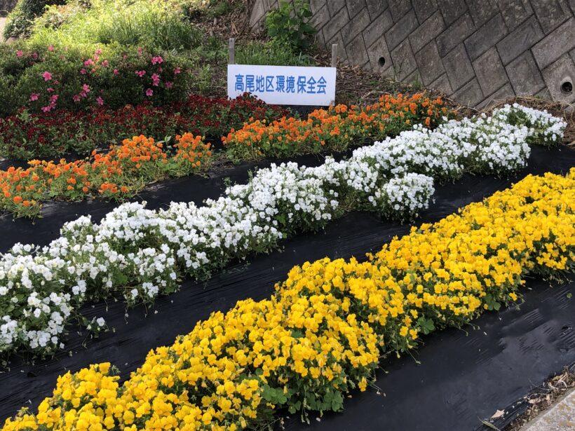 交通安全教室を実施しました。