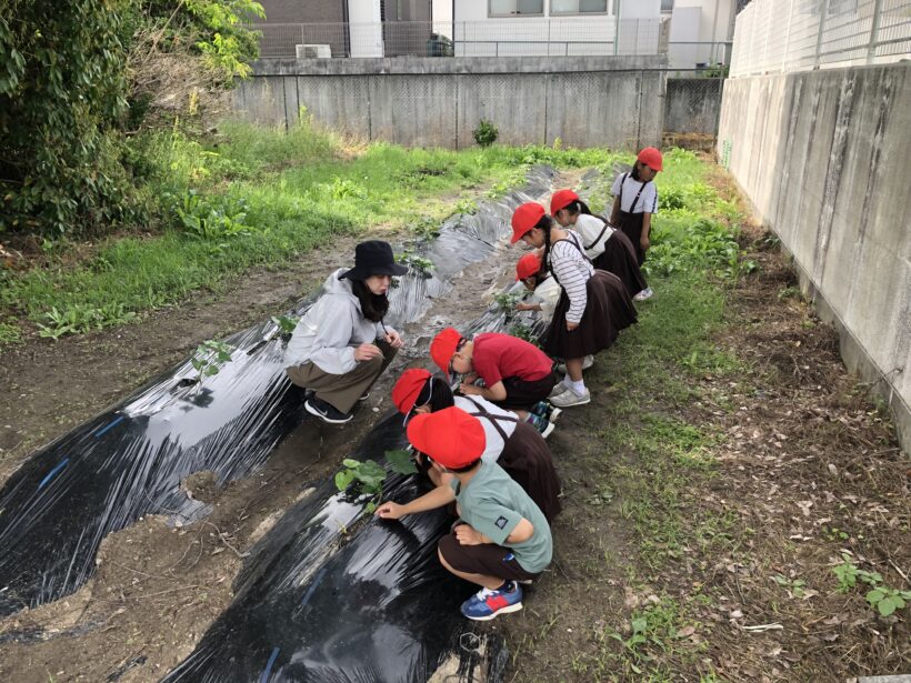 今日の東貴志小学校