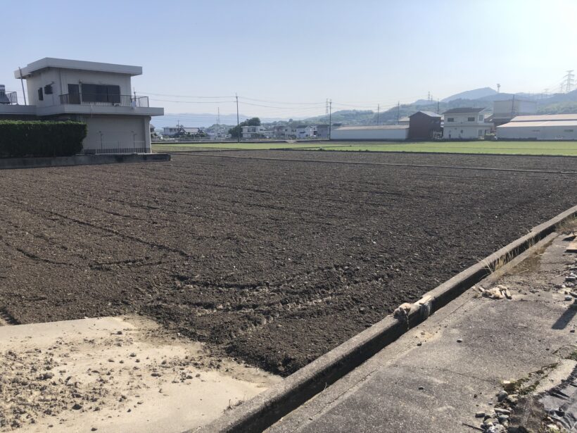 今日の東貴志小学校