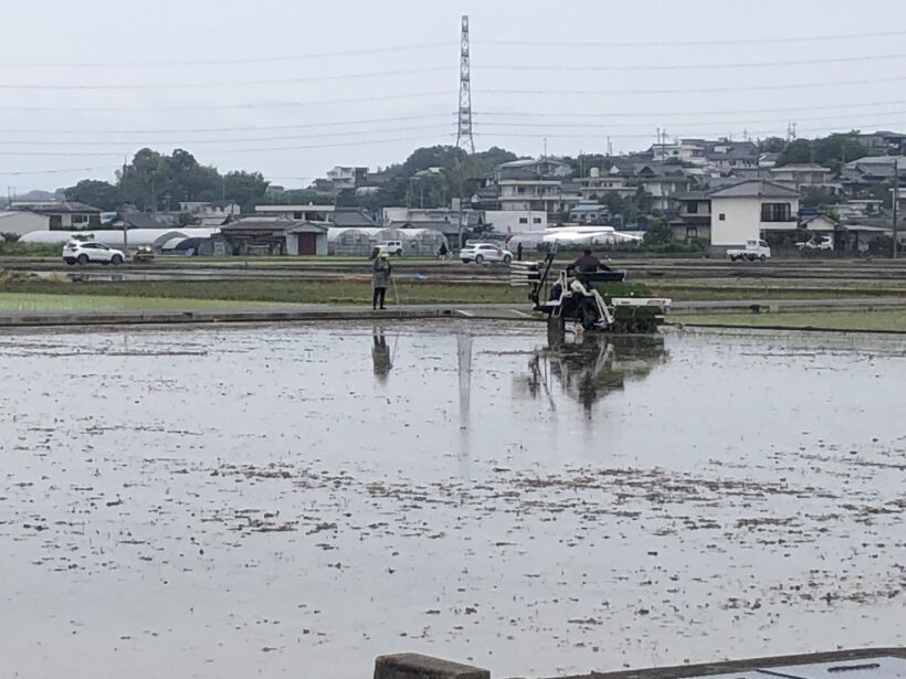 今日の東貴志小学校