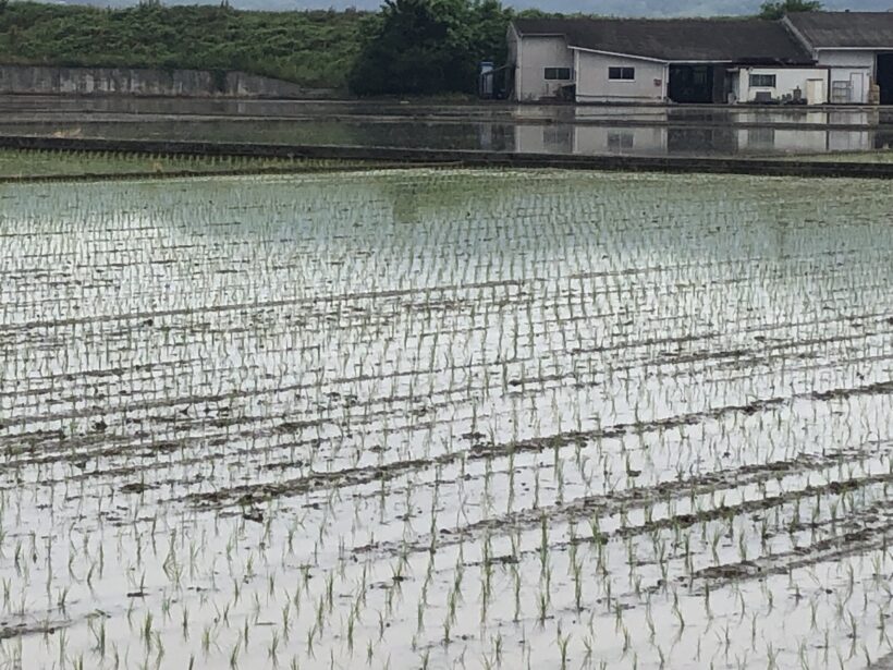今日の東貴志小学校