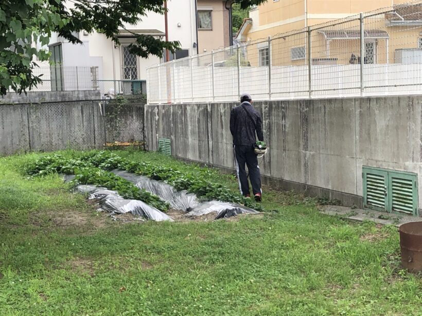 今日の東貴志小学校