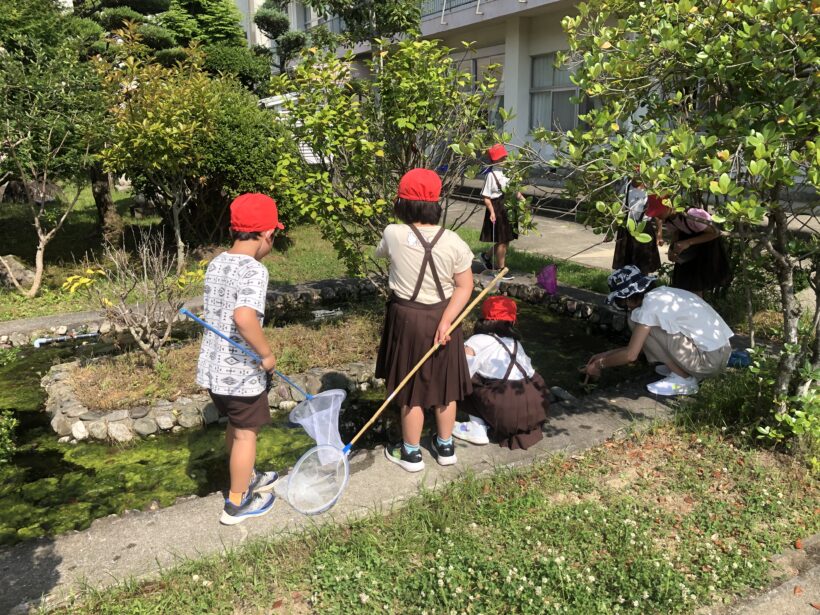 今日の東貴志小学校