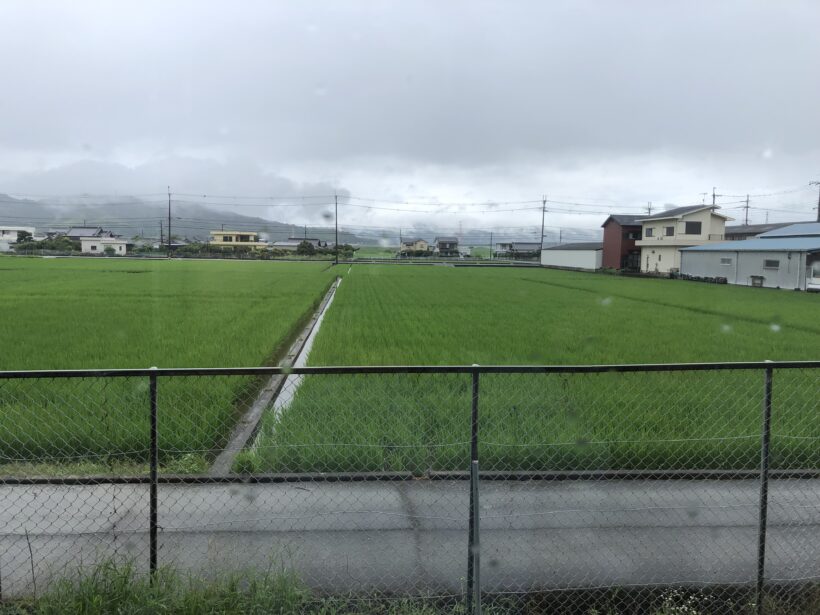 今日の東貴志小学校