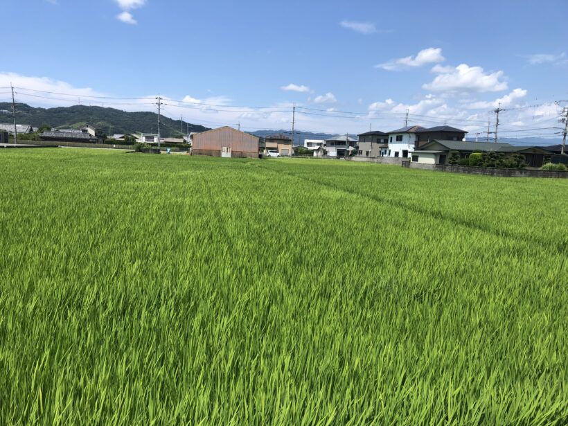 今日の東貴志小学校