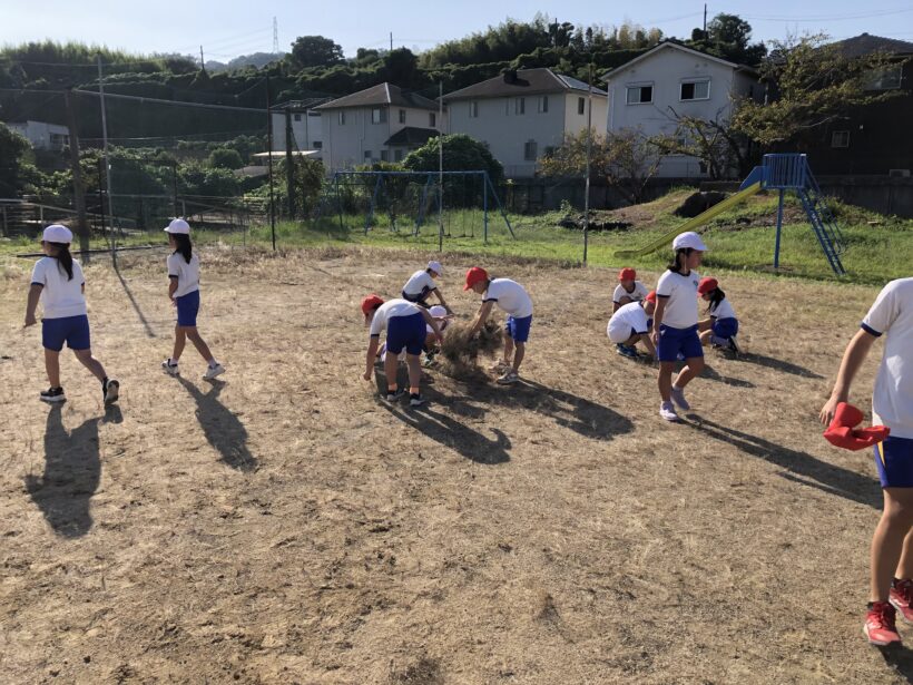 運動場の草ぬき