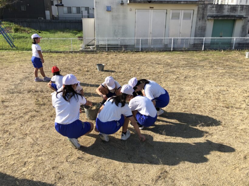 運動場の草ぬき