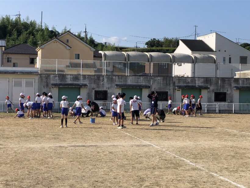運動場の草ぬき