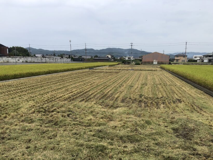 今日の東貴志小学校