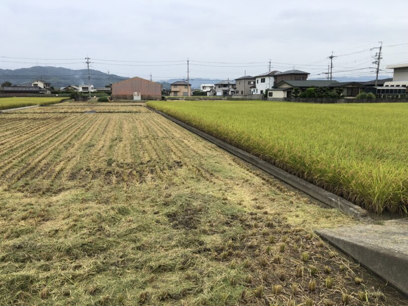 今日の東貴志小学校