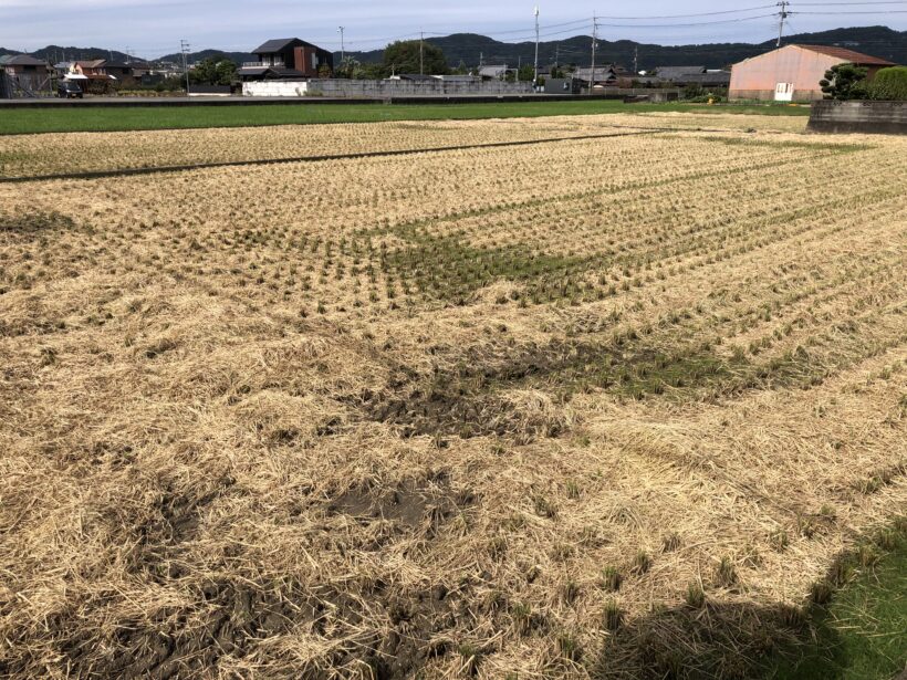 今日の東貴志小学校