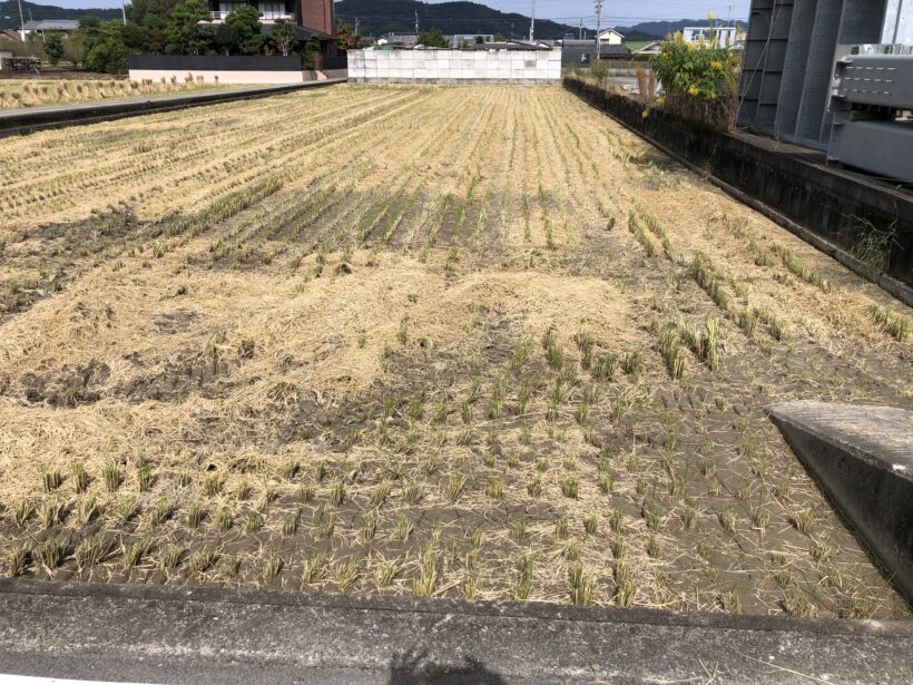 今日の東貴志小学校