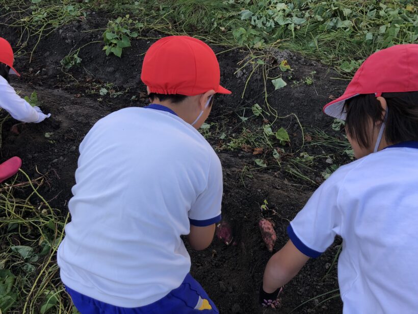 今日の東貴志小学校