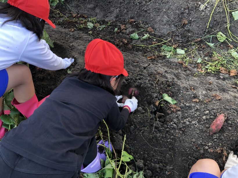 今日の東貴志小学校