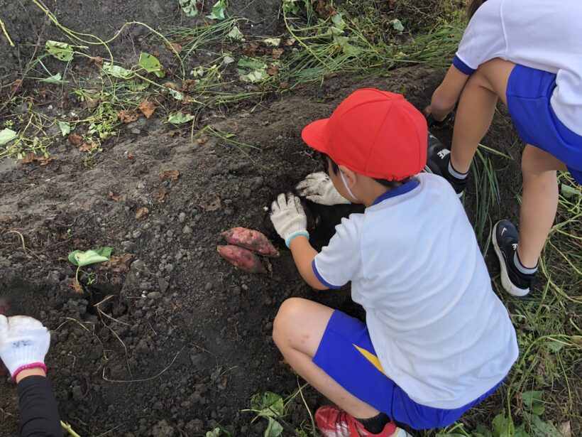 今日の東貴志小学校