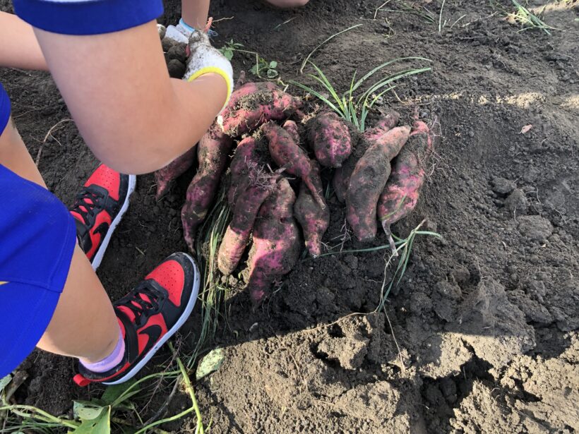 今日の東貴志小学校