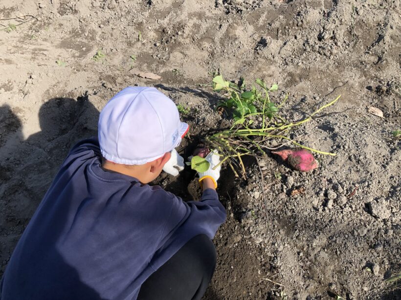 今日の東貴志小学校