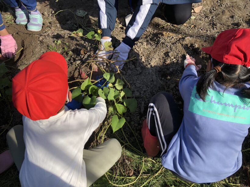 今日の東貴志小学校