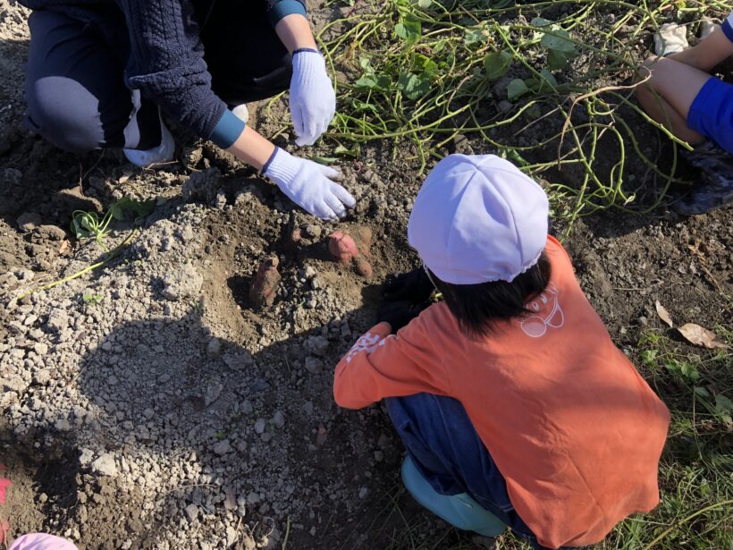 今日の東貴志小学校
