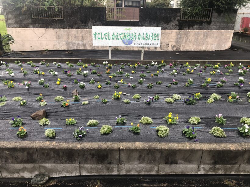 今日の東貴志小学校