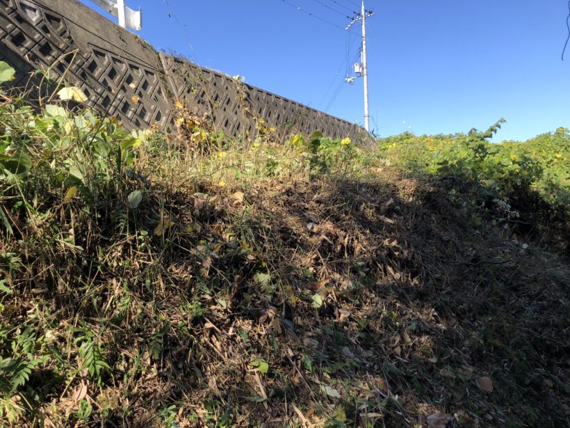 通学路の整備、ありがとうございました。