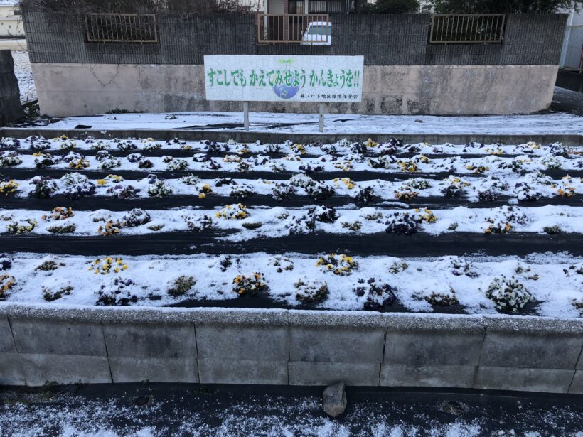 日曜日に降った雪が