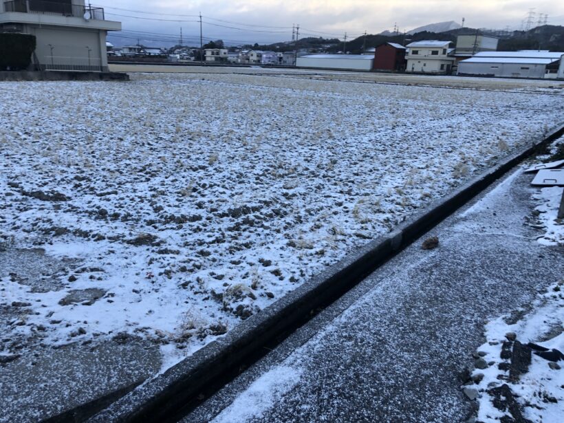 日曜日に降った雪が