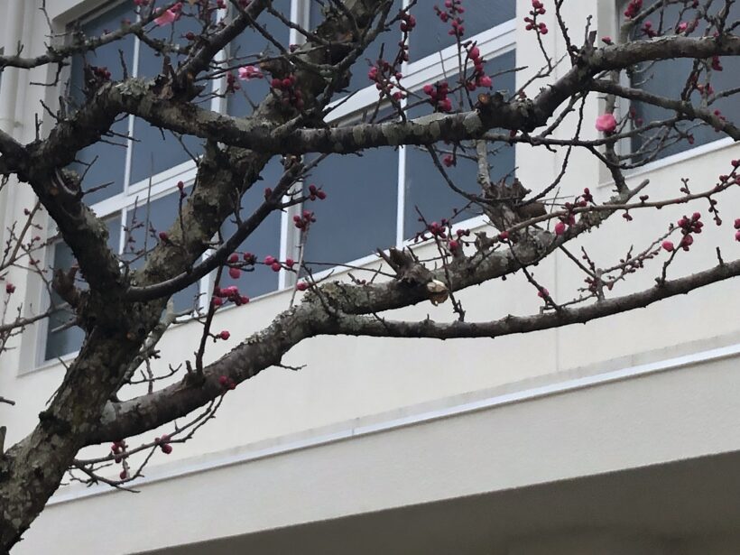 今日の東貴志小学校