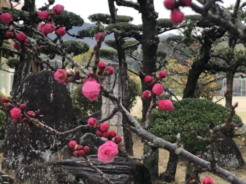 今日の東貴志小学校