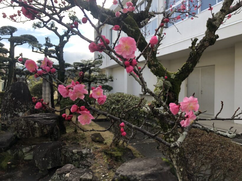 最終の「朝体」